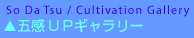 ܊UPM[ij