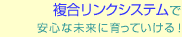 NVXe